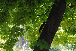 DSC_0035.jpg