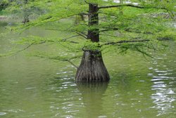 DSC_0103.jpg