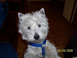 casper.jpg