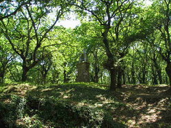 P6120300.JPG