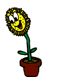 girasoles3.gif