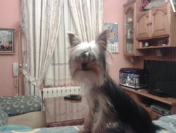 2012-04-21 23.16.57.jpg