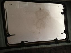 IMG_0319.jpg IMG_0319.jpg