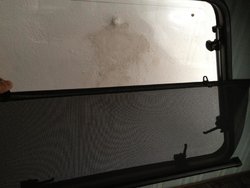 IMG_0320.jpg
