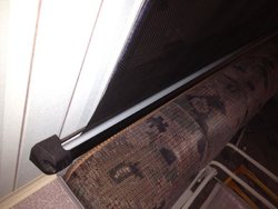 IMG_0323.jpg