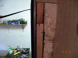 DSCN3277.jpg