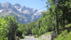 IMG_1508.jpg