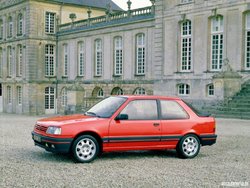 peugeot_309_gti_1987_01_m.jpg
