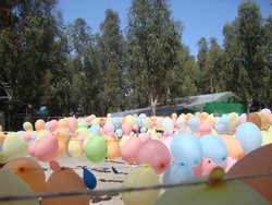 DSC05323.jpg
