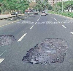 bache01.jpg