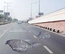 bache02.jpg