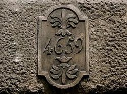 4659.jpg