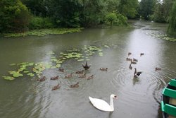 IMG_0017.jpg
