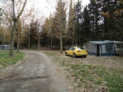 DSC01657.jpg