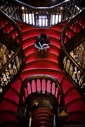 Livraria Lello 3.jpg
