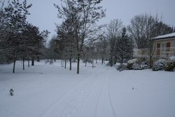 IMG_0471.jpg