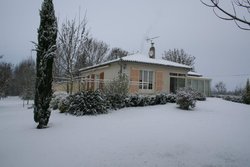 IMG_0498.jpg