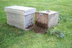 IMG_0318.jpg