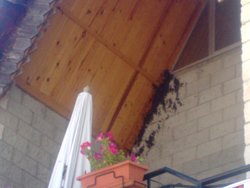 30062010148.jpg