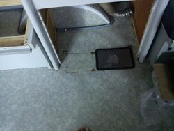 IMG_20120814_200121.jpg