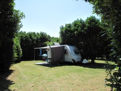 IMG_2828.jpg