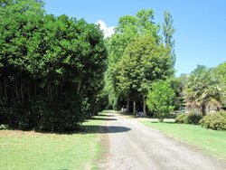 IMG_2829.jpg