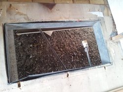 20120901_130226.jpg