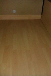 IMAG0217.jpg