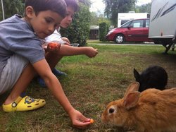 IMG_1556.jpg