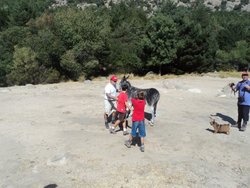 DSC02096.jpg