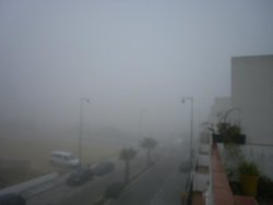 PA085259.jpg