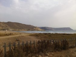 DSC_0310.jpg