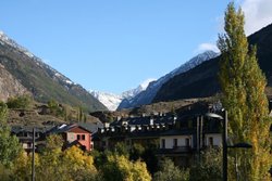 IMG_0038.jpg IMG_0038.jpg