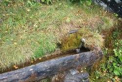aigüestortes05.jpg
