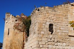 DSC_0011.jpg