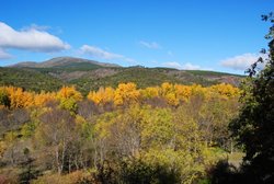 DSC_0025.jpg