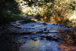 DSC_0023.jpg