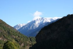IMG_0047.jpg
