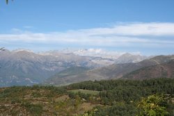 IMG_0111.jpg
