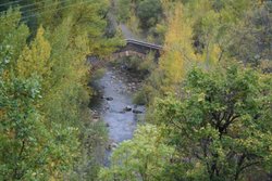 IMG_0131.jpg