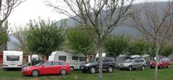 P1010028.jpg