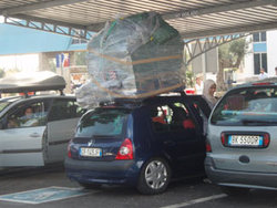 coche-vaca.jpg
