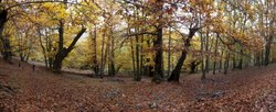 panoramica webcampada 3.jpg