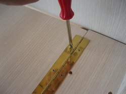 2.JPG