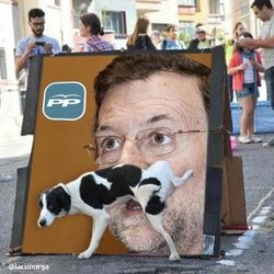 meadilla de perro.jpg