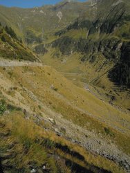 DSCN1385.jpg