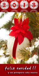 feliz-navidad-2013-prospero-ano-nuevo1.jpg
