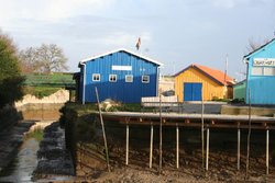 IMG_0027.jpg