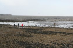 IMG_0022.jpg