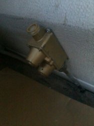 IMG-20121228-WA0002.jpg